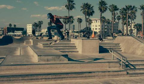 待鉴定新类群示意